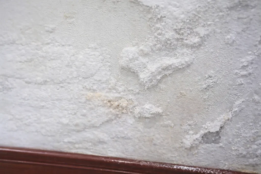 close-up of damp wall with peeling paint and efflorescence